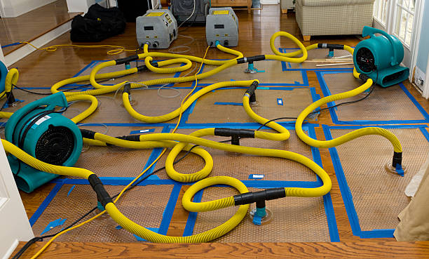 Professional Flood Damage Restoration technician working in Bethany, OR